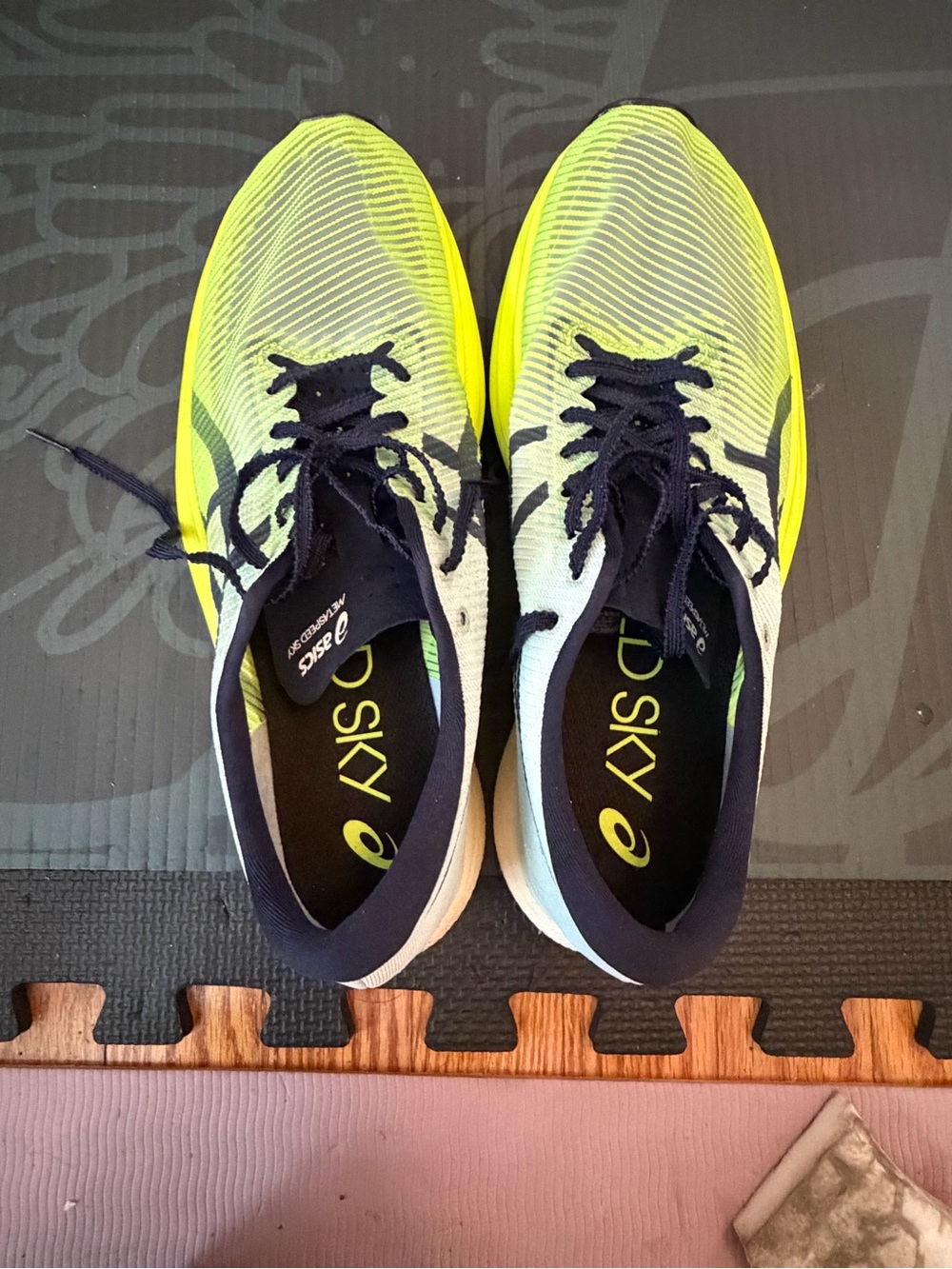 ASICS METASPEED Sky+ Carbon Racing Shoes Men’s 9